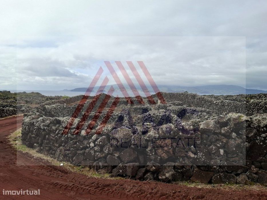 Terreno Rústico com Vinha no Lajido da Criação Velha
