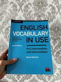 English Vocabulary in Use, pre-intermediate/intermediate