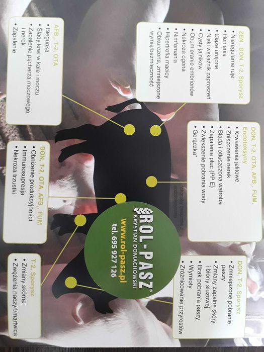 Mycofix Select 3E preparat na mykotoksyny mikotoksyny w paszach 25kg