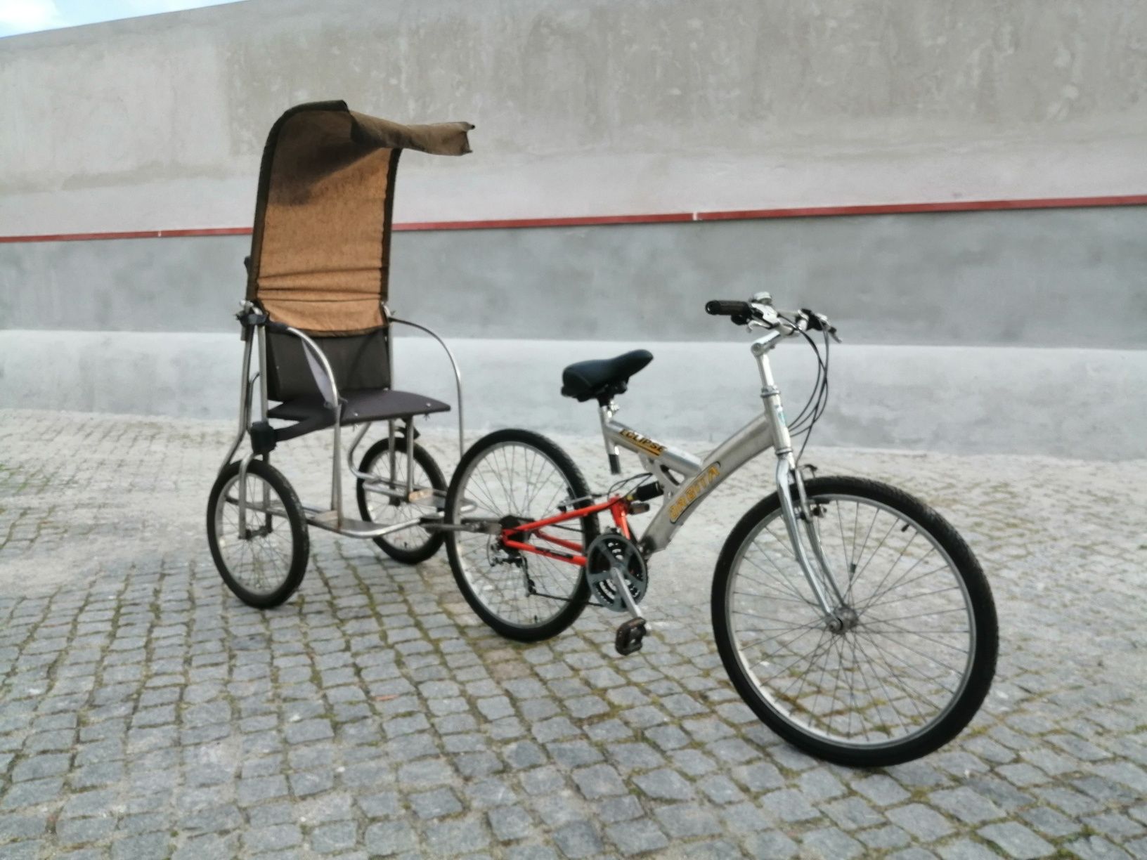 Bicicleta com trailer