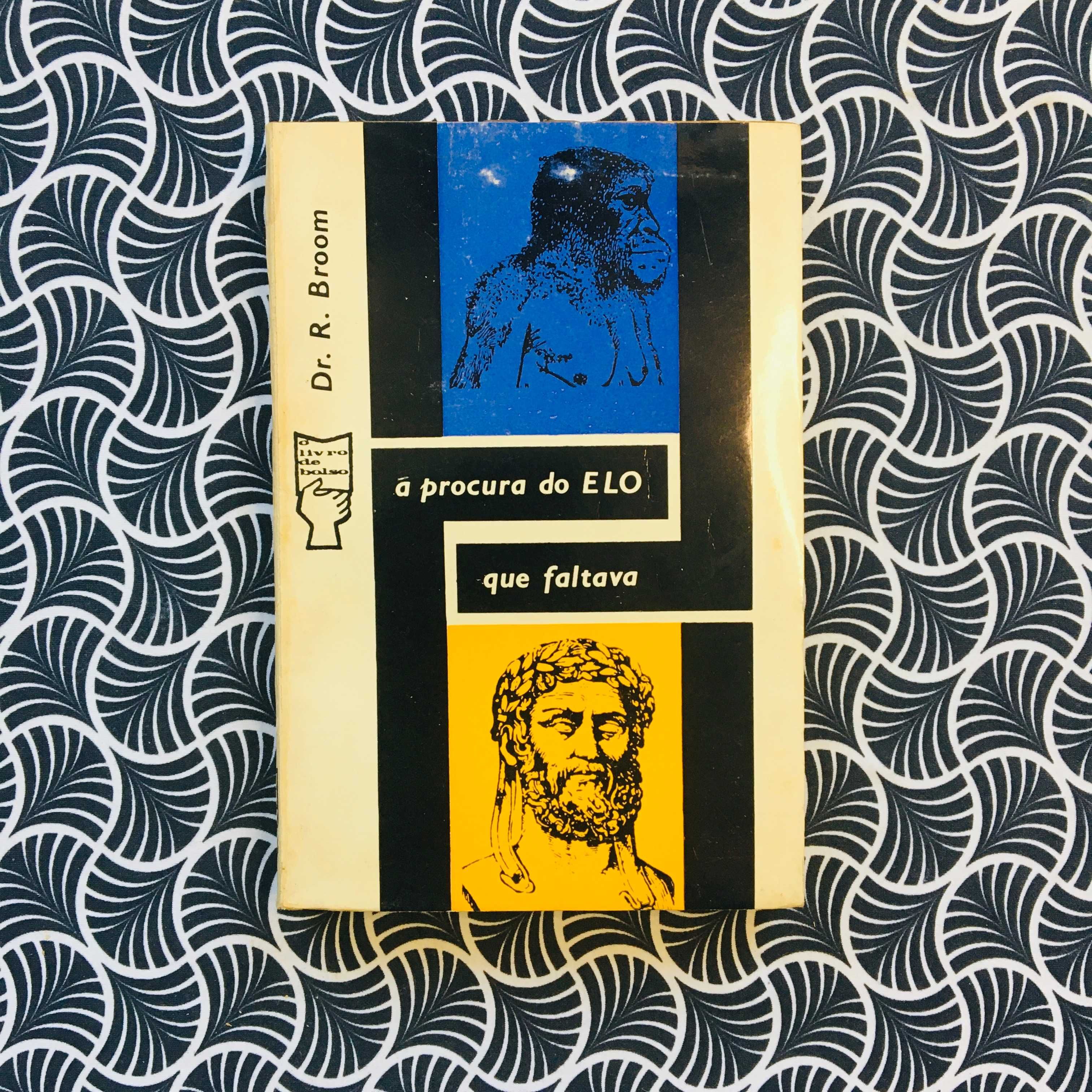 À Procura do Elo que Faltava - Robert Broom