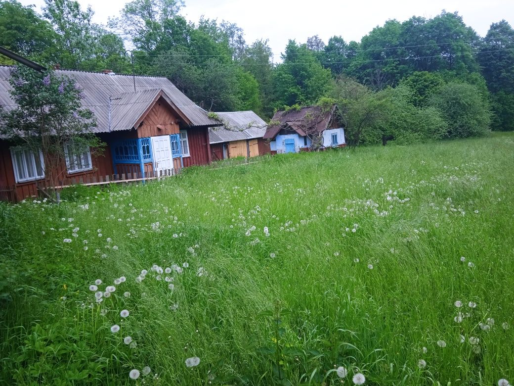 Будинок із земельною ділянкою