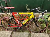 Bicicleta ciclismo profissional Dynatek - Modelo Leonardo