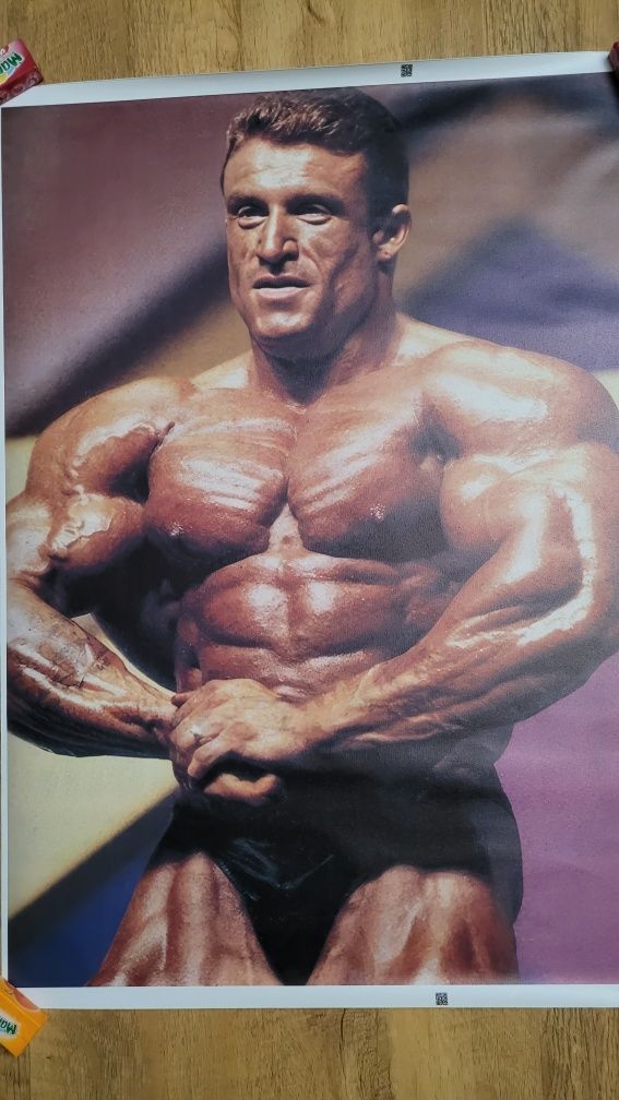 Dorian Yates plakat na płótnie 50x70cm