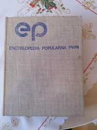 Encyklopedia Popularna PWN wydanie 13 rok 1982