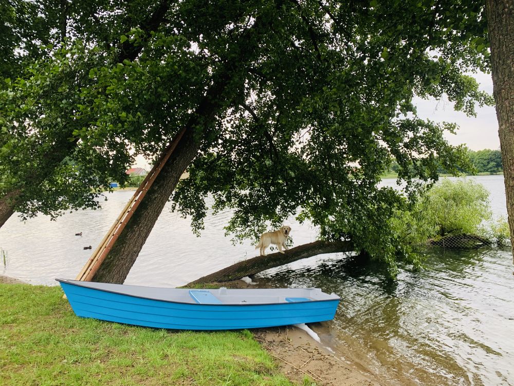 Domek, Mazury, Majówka, linia brzegowa, Sauna, bania