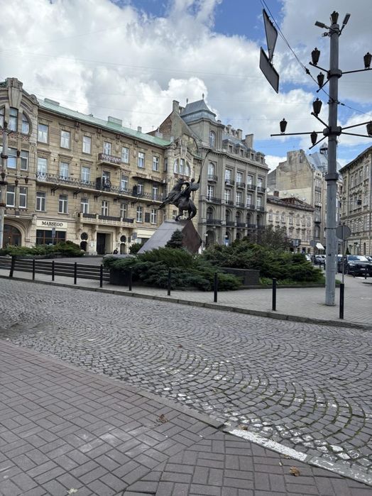 Продаж дизайнерської 3кімн. квартири в центрі Львова біля парку Франка