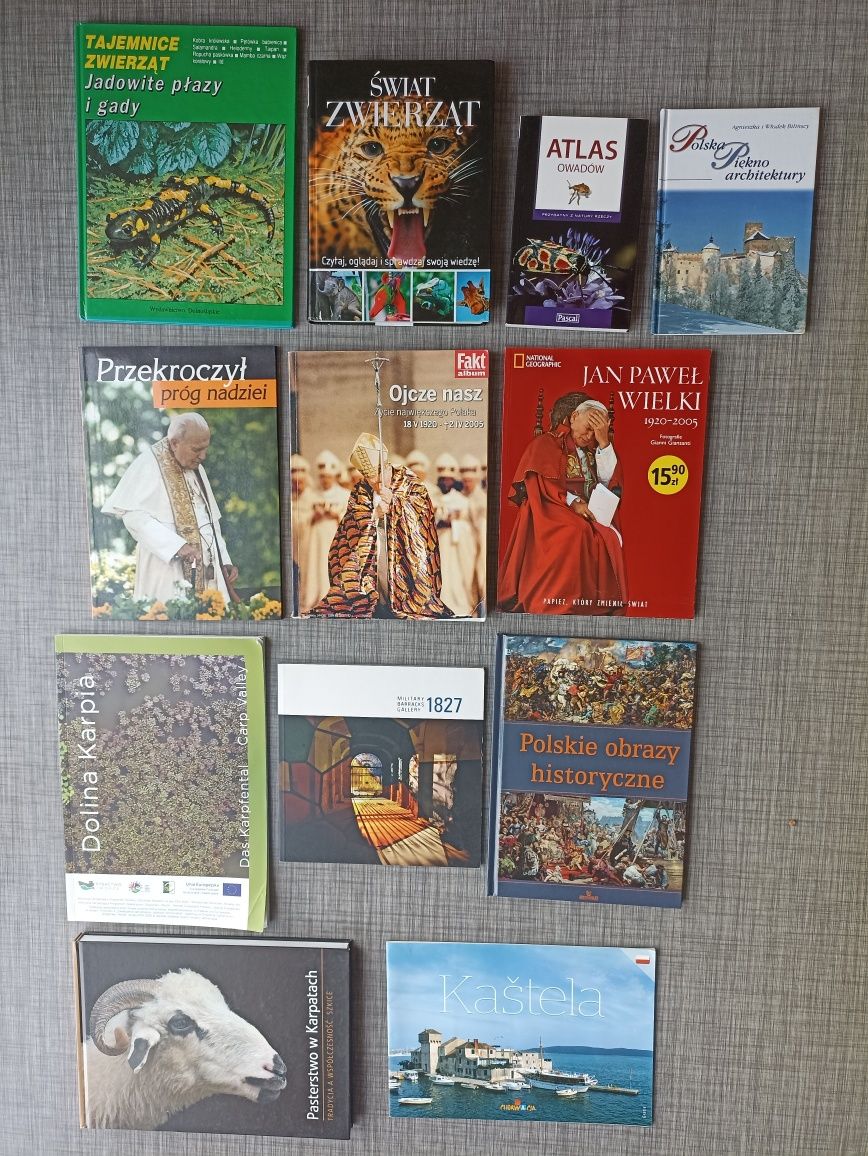 Wyprzedaż kolekcja 12 książek Albumy