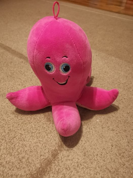 Pluszak ośmiornica