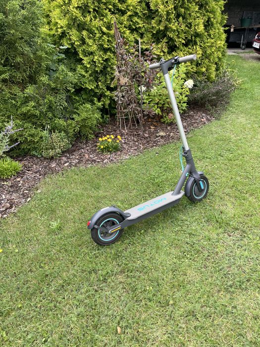 Hulajnoga Motus Scooty 10 lite