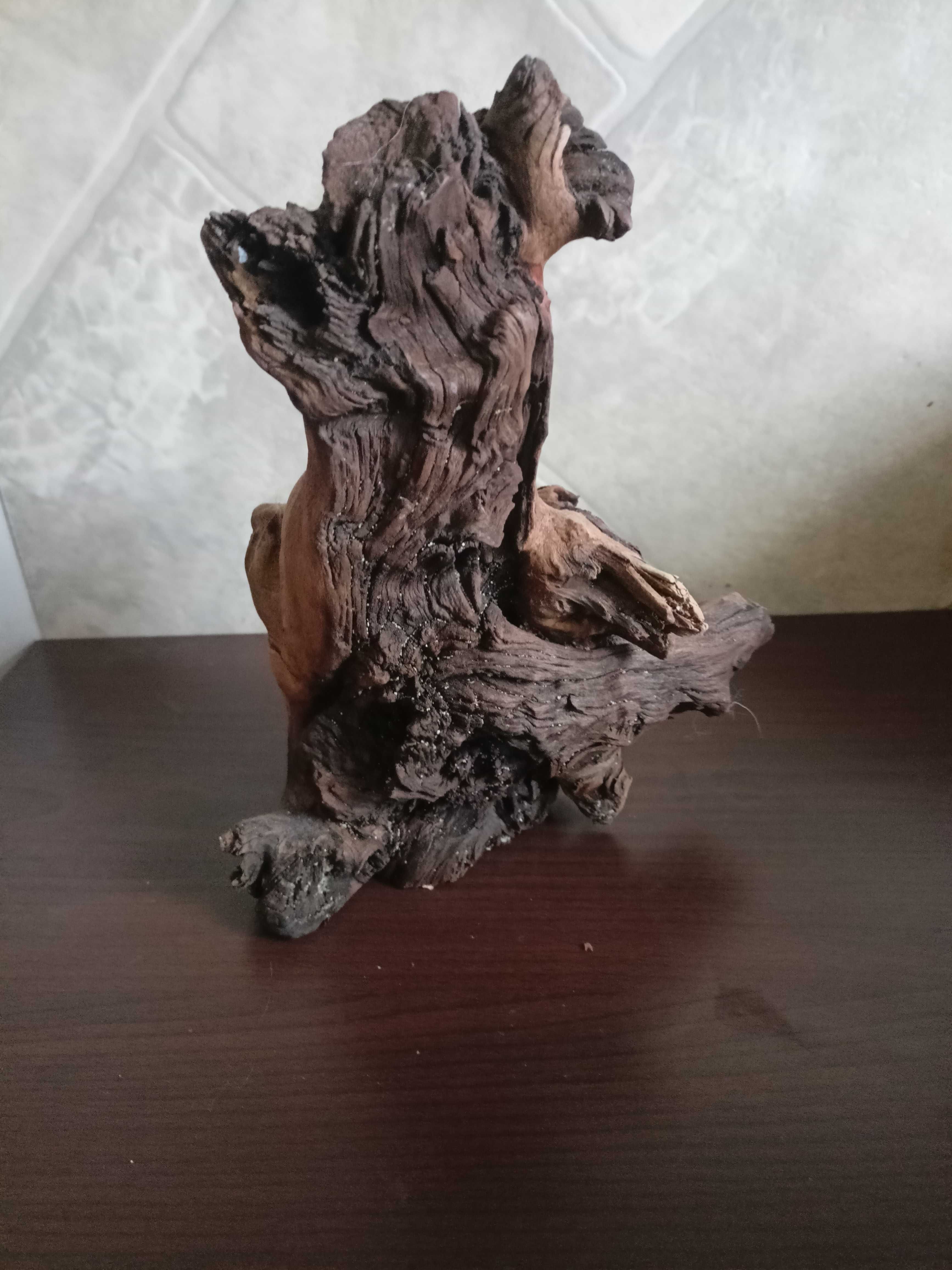 Korzeń do akwarium używany