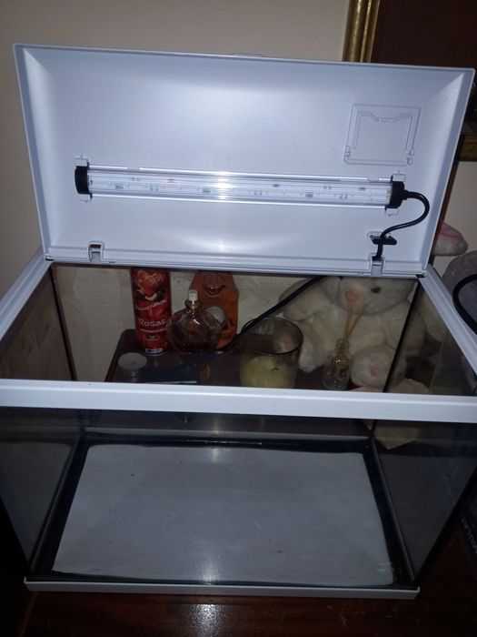 Aquario novo com luz led