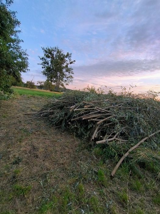 Czyszczenie działek, ogrodzenia tymczasowe, cięcie drewna, sprzątanie