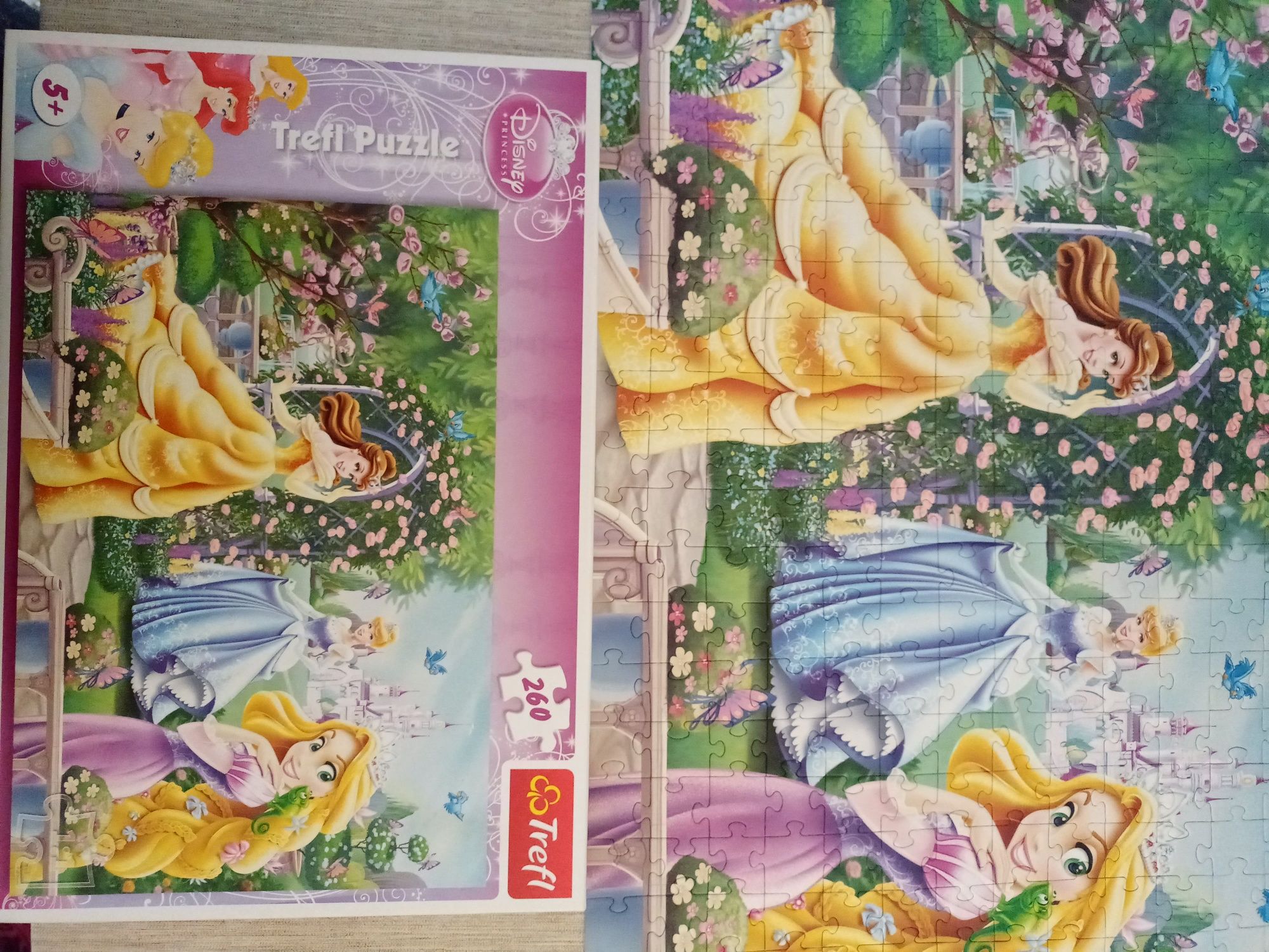 Puzzle Księżniczki