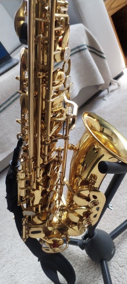 Saxofone Alto Lechnical
