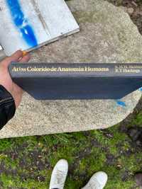 Atlas colorido de anatomia humana a cores e legendado.grande livro