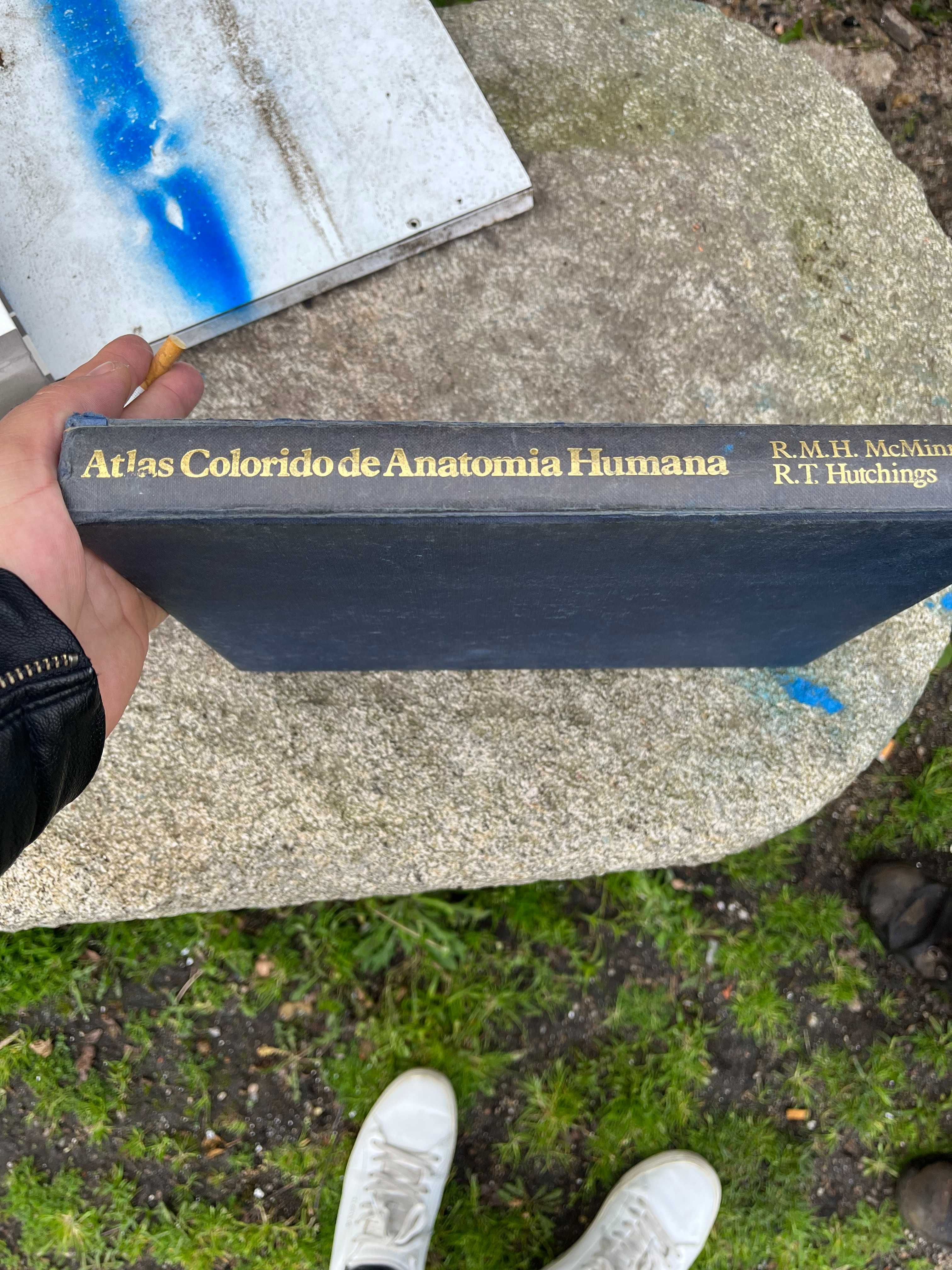 Atlas colorido de anatomia humana a cores e legendado.grande livro
