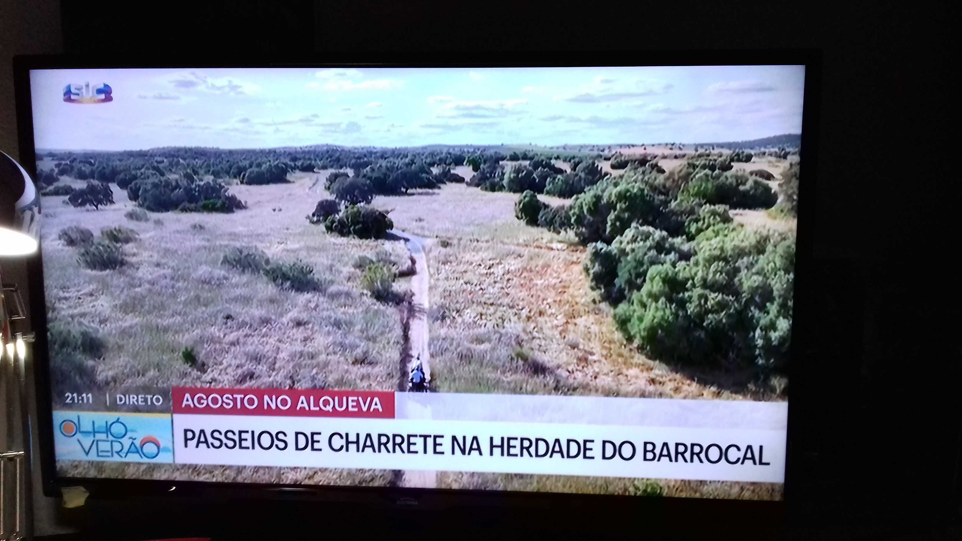 Televisão A FUNCIONAR 100% como nova smart tv. 43" (110cm)