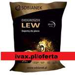 Groszek Lew Sobianek PROMOCJA transport gratis