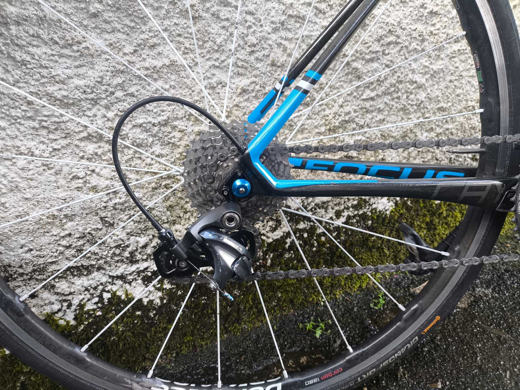 Focus Cayo Ultegra