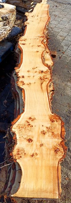 Czeczot topola blaty na ławki do ogrodu deski foszty