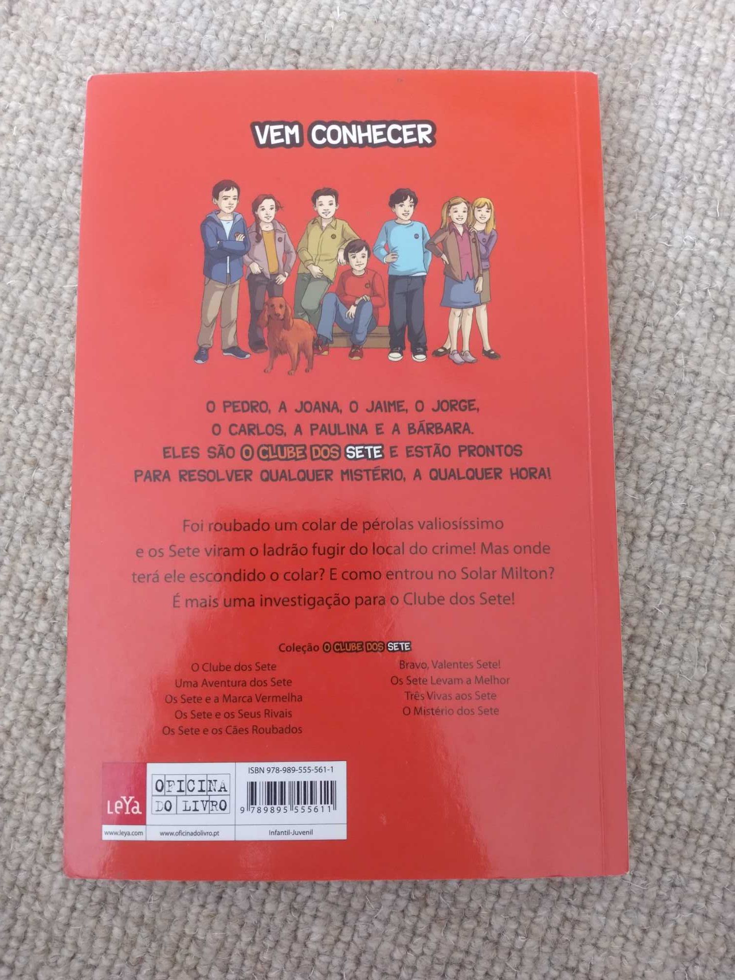 Livro Uma aventura dos sete 2
