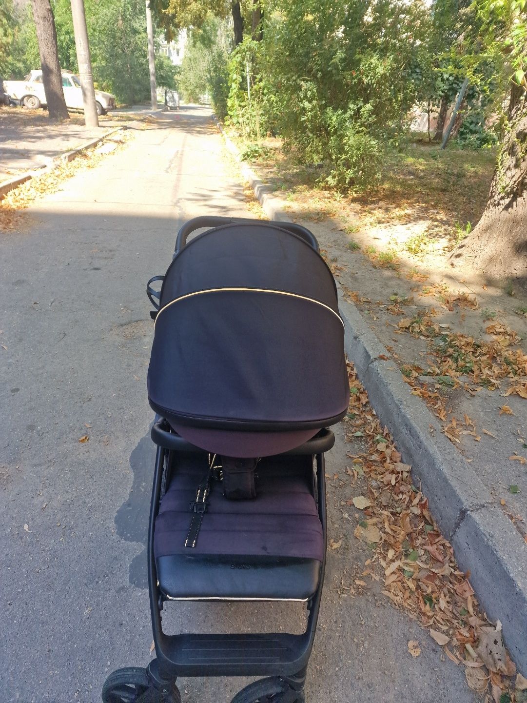 Прогулянкова коляска Carrello Bravo Plus 2023 CRL-5515