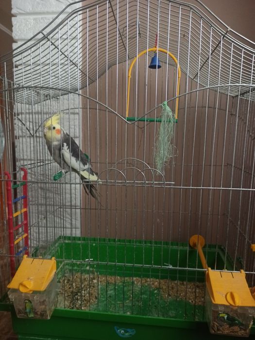 Клітка для попугая. 1400грн.