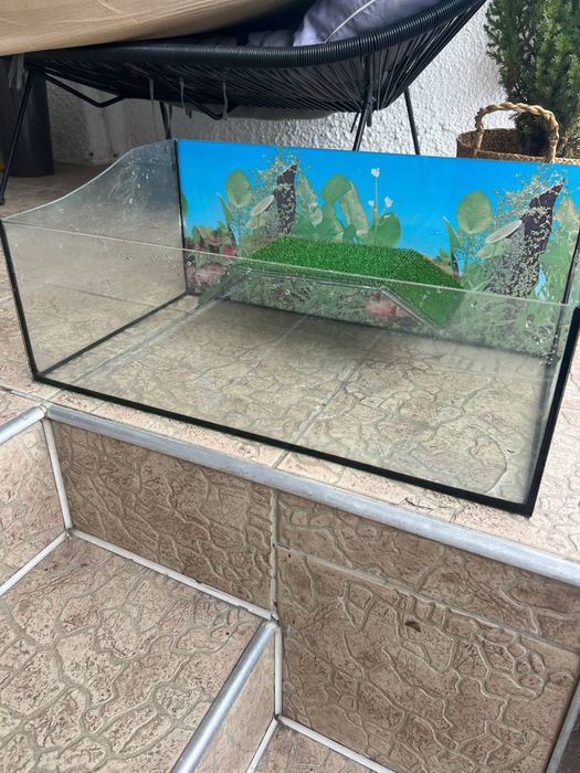 Акваріум, тераріум для черепах