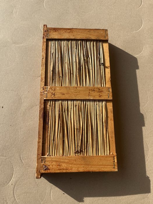 Zatworomata wielkopolska 18 cm ul pszczoły