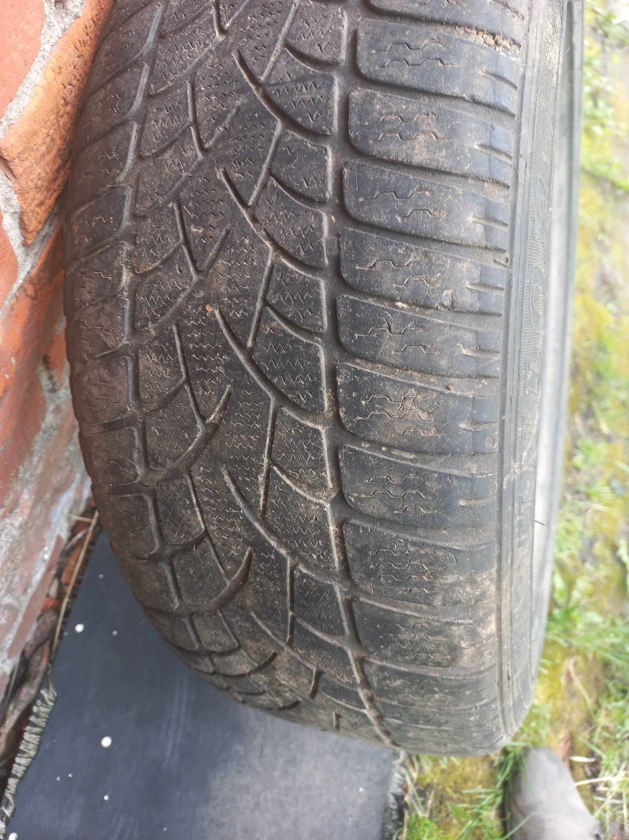 Резина dunlop sp winter sport 3d 205/55 R16