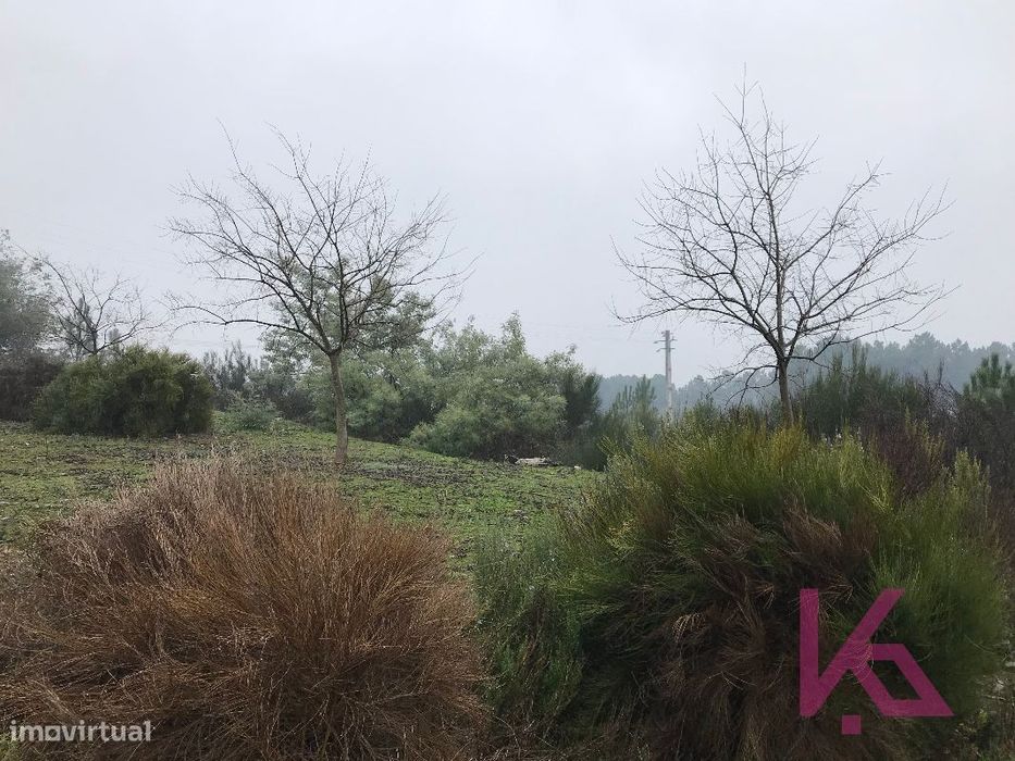 Terreno - Lote 17 (Venda)