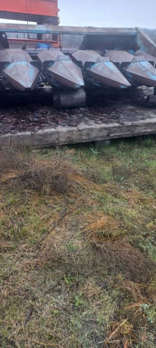 С документами,полный порядок.