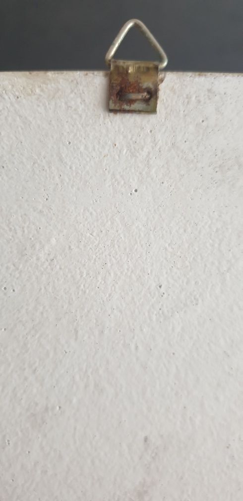 Obrazek z delfinami