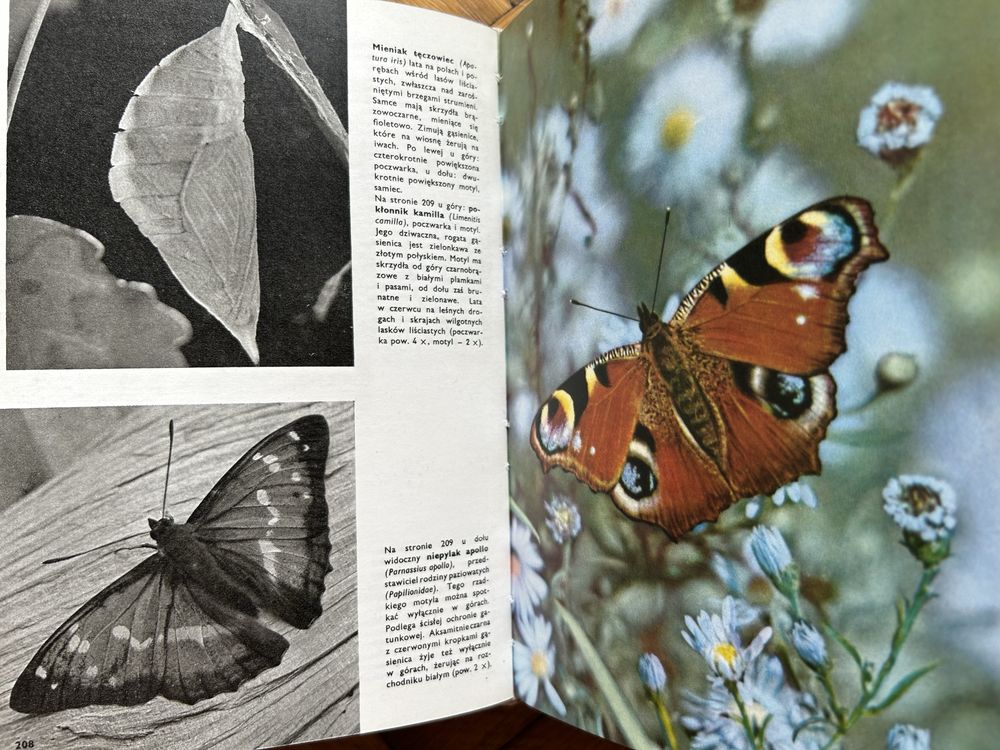 Wielki atlas zwierząt Stanek twarda oprawa super stan