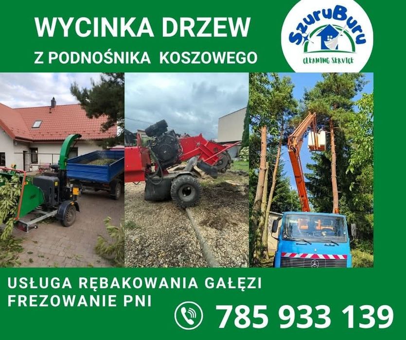 Wycinka drzew z podnośnika koszowego lub dostępu linowego Rębak Zrębka