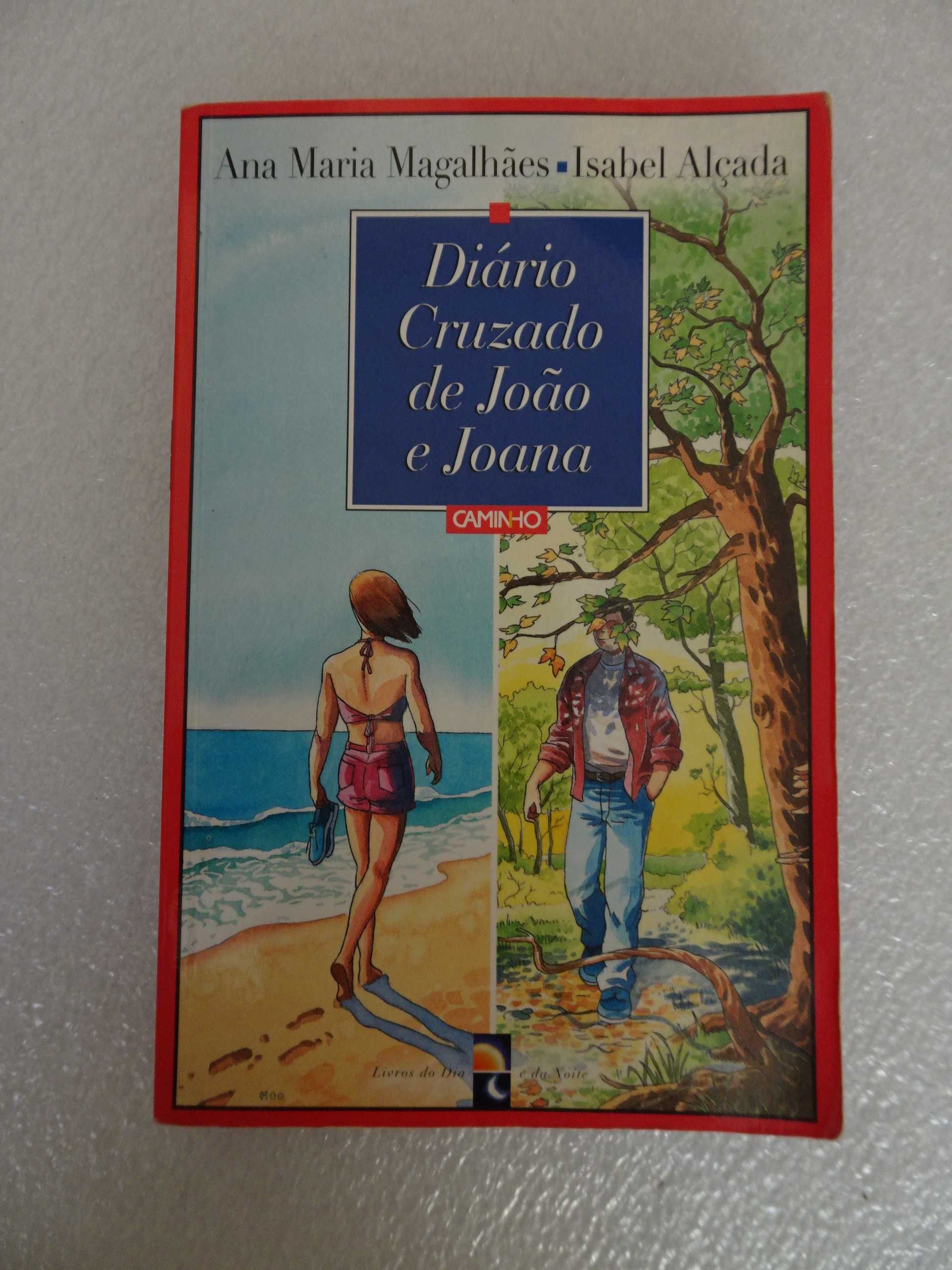Livro - Diário Cruzado de João e Joana - Ana Maria Magalhães e Isabel