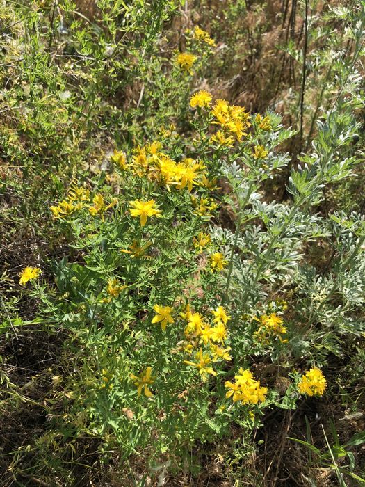 Сіль для ванни «Тихий вечір»