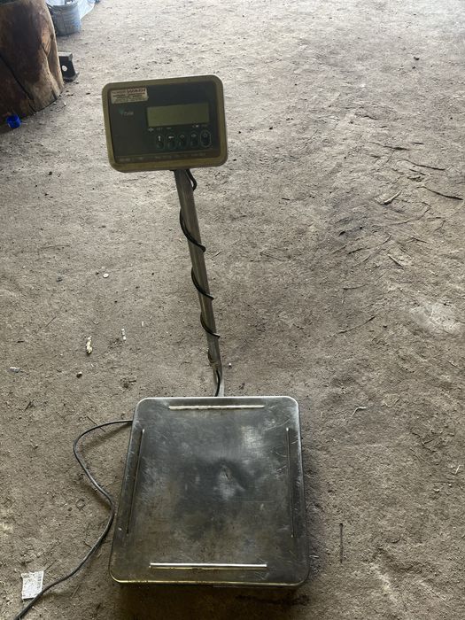 Waga elektroniczna Digi DS-162 – do 160 kg