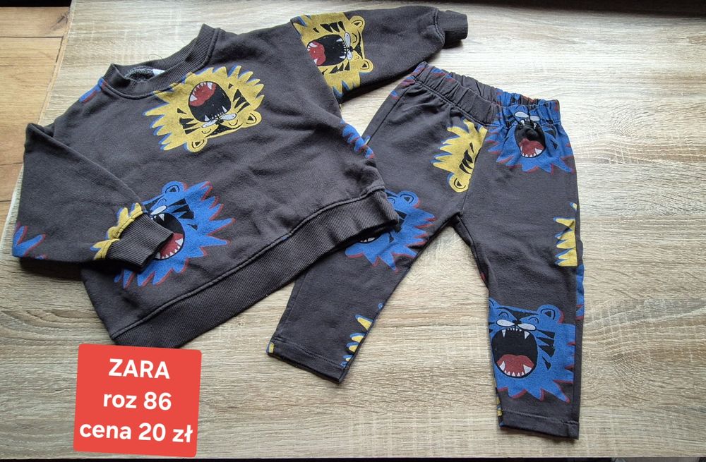 Dres bawełniany Zara 86 komplet dresowy tygrys legginsy bluza