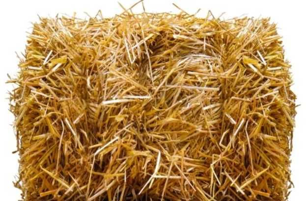 Słoma owsiana kostka