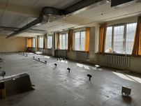 Сдам часть здания на Белостоцкого, под производство