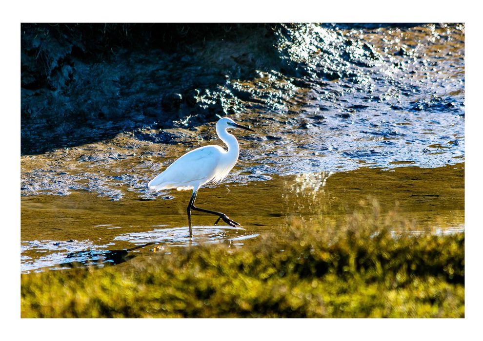 Poster fotográfico 50 x 70, Superfície: papel fotográfico brilhante.