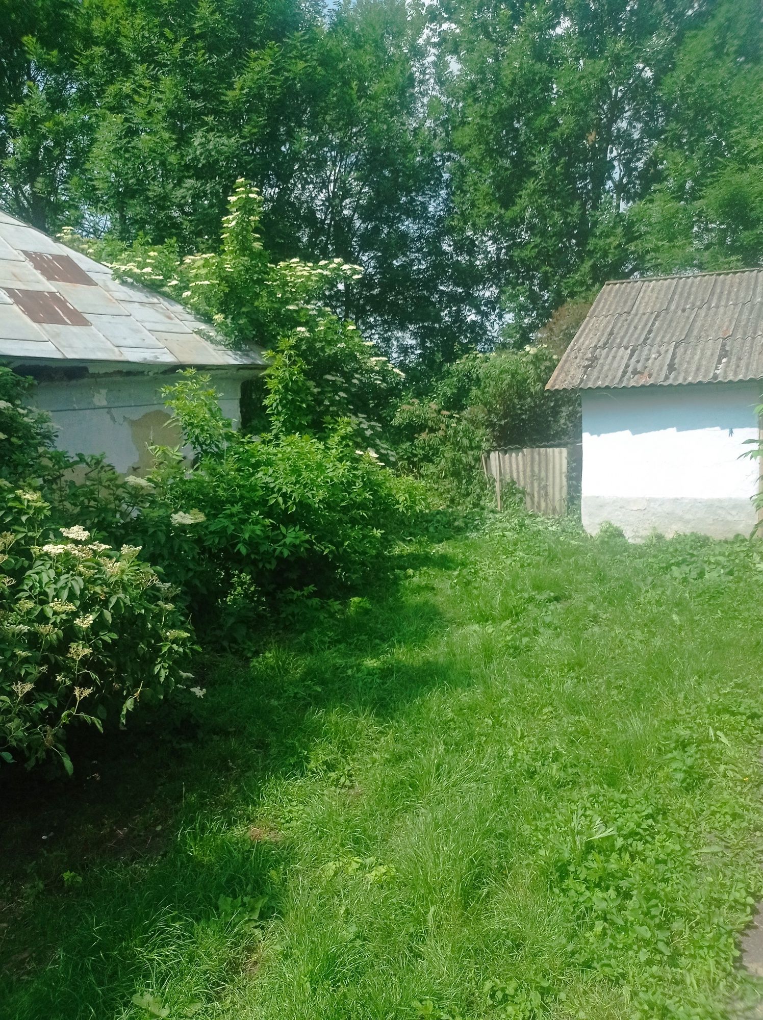 Будинок в селі Ілавче