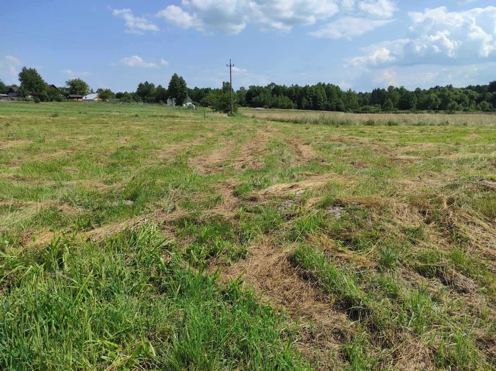 Działka na sprzedaż z WZ, 19ar - Wydrze