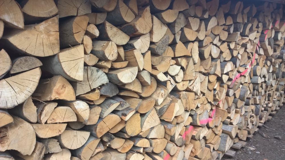 Suchy BUK drewno kominkowe opałowe suche sezonowane drzewo do kominka