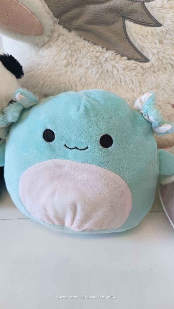 Maskotki squishmallows axolotl corgi poduszka jednorożec panda wilczek