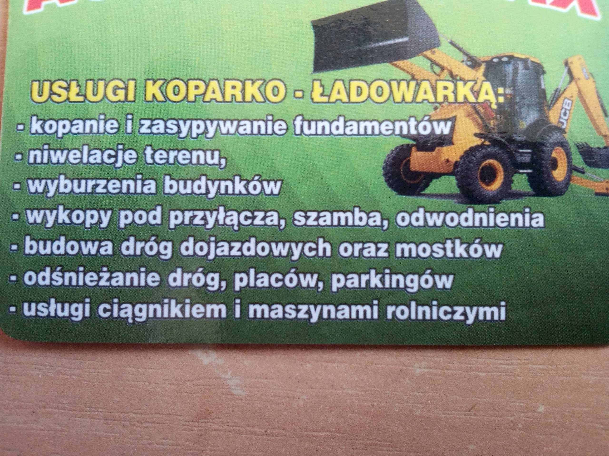 usługi transportowe hds wywrotka koparko-ładowarka wyburzenia