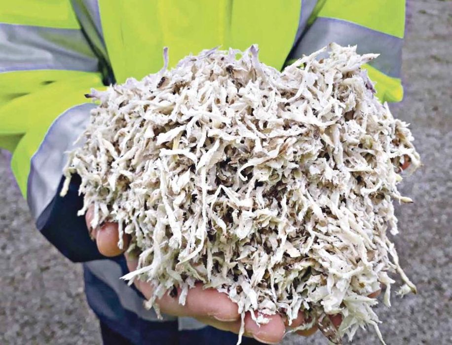 Свіжий жом з доставкою!