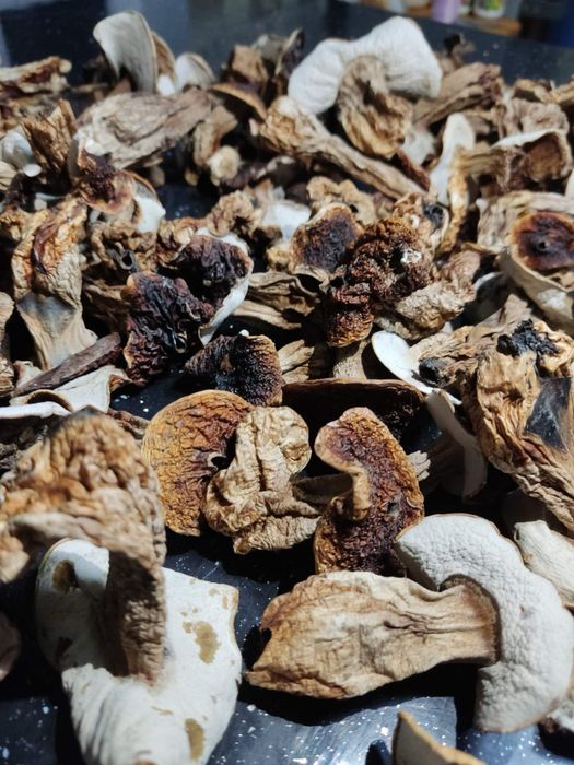 Мариновані грибочки, смачний маринад, широкий асортимент різних видів